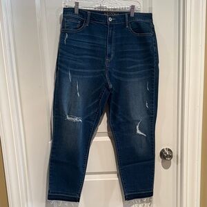 Arizona Jean Company Deep Indigo Relaxed Jeans